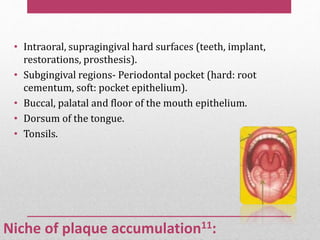 Niche of plaque accumulation11:
• Intraoral, supragingival hard surfaces (teeth, implant,
restorations, prosthesis).
• Subgingival regions- Periodontal pocket (hard: root
cementum, soft: pocket epithelium).
• Buccal, palatal and floor of the mouth epithelium.
• Dorsum of the tongue.
• Tonsils.
 