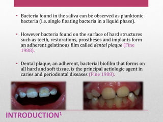 INTRODUCTION1
• Bacteria found in the saliva can be observed as planktonic
bacteria (i.e. single floating bacteria in a liquid phase).
• However bacteria found on the surface of hard structures
such as teeth, restorations, prostheses and implants form
an adherent gelatinous film called dental plaque (Fine
1988).
• Dental plaque, an adherent, bacterial biofilm that forms on
all hard and soft tissue, is the principal aetiologic agent in
caries and periodontal diseases (Fine 1988).
 