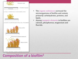Composition of a biofilm5
• The organic substances surround the
microorganisms of biofilm and contain
primarily carbohydrates, proteins, and
lipids.
• Among inorganic elements in biofilms are
calcium, phosphorous, magnesium and
fluoride.
 