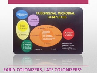 EARLY COLONIZERS, LATE COLONIZERS8
 