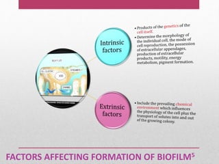 FACTORS AFFECTING FORMATION OF BIOFILM5
 