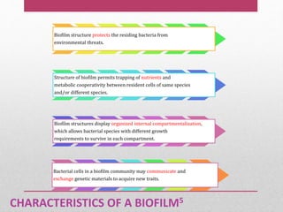 CHARACTERISTICS OF A BIOFILM5
Biofilm structure protects the residing bacteria from
environmental threats.
Structure of biofilm permits trapping of nutrients and
metabolic cooperativity between resident cells of same species
and/or different species.
Biofilm structures display organized internal compartmentalization,
which allows bacterial species with different growth
requirements to survive in each compartment.
Bacterial cells in a biofilm community may communicate and
exchange genetic materials to acquire new traits.
 
