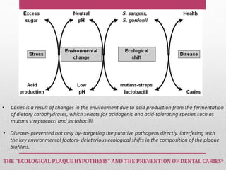 • Caries is a result of changes in the environment due to acid production from the fermentation
of dietary carbohydrates, which selects for acidogenic and acid-tolerating species such as
mutans streptococci and lactobacilli.
THE "ECOLOGICAL PLAQUE HYPOTHESIS" AND THE PREVENTION OF DENTAL CARIES6
• Disease- prevented not only by- targeting the putative pathogens directly, interfering with
the key environmental factors- deleterious ecological shifts in the composition of the plaque
biofilms.
 