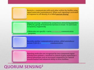 QUORUM SENSING2
Bacteria→ communicate with each other within the biofilm using
signal molecules (autoinducers). When such signaling is activated
in response to cell density, it is called quorum sensing.
Quorum sensing→ mediated by competence stimulating peptides
(CSPs) & a group of homoserine lactones in Gram +ve and Gram-
ve bacteria, respectively.
• Molecules are specific→ serve intraspecies communication
purposes.
Recently, another communication system, called autoinducer
system 2 (AI-2)→ interspecies communication.
Signaling molecules are recognized by two-component signal
transduction systems→ involved in control of gene expression→
altered phenotype such as increased competence for natural
transformation and enhanced ability to form biofilms.
 