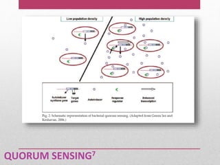 QUORUM SENSING7
 
