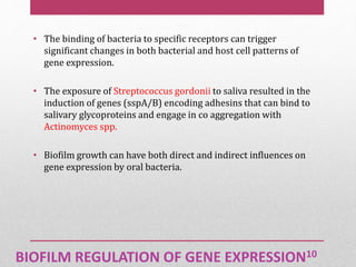 BIOFILM REGULATION OF GENE EXPRESSION10
• The binding of bacteria to specific receptors can trigger
significant changes in both bacterial and host cell patterns of
gene expression.
• The exposure of Streptococcus gordonii to saliva resulted in the
induction of genes (sspA/B) encoding adhesins that can bind to
salivary glycoproteins and engage in co aggregation with
Actinomyces spp.
• Biofilm growth can have both direct and indirect influences on
gene expression by oral bacteria.
 