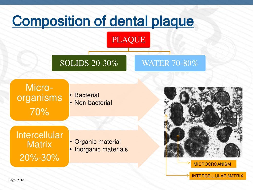 DENTAL PLAQUE PART 1