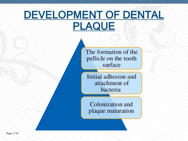 DENTAL PLAQUE - PART 1