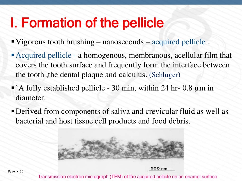 DENTAL PLAQUE PART 1