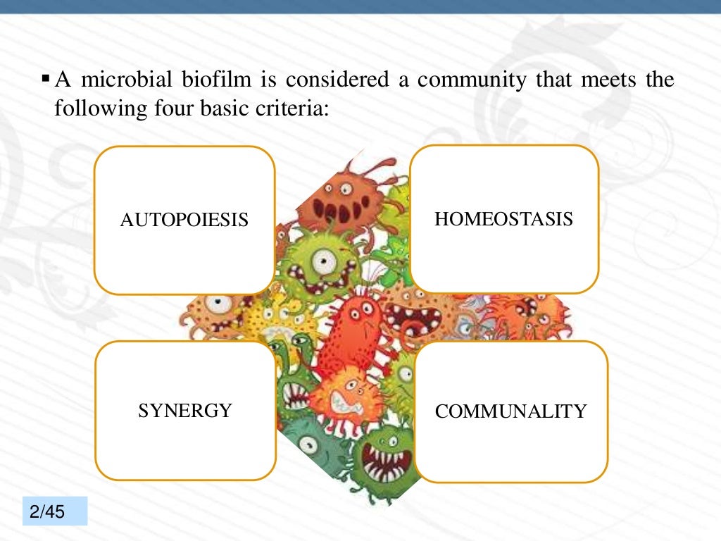 DENTAL PLAQUE PART 2 (BIOFILM)