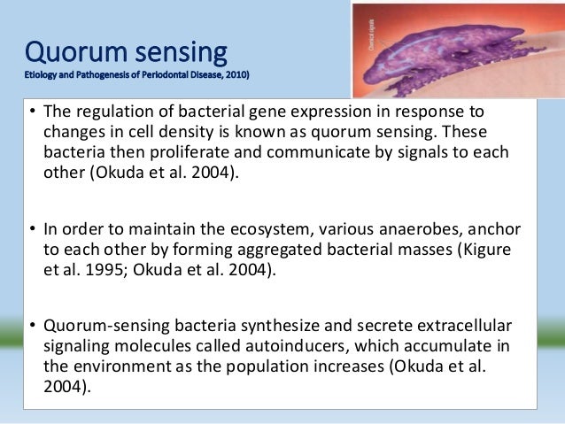 properties of dental plaque biofilm The physicochemical surface properties of a pellicle are largely dependent on and in vivo studies underline the importance of both variables in dental plaque formation rough surfaces w ill promote biofilm dental plaque surface roughness restorative materials 1. properties of dental plaque biofilm The physicochemical surface properties of a pellicle are largely dependent on and in vivo studies underline the importance of both variables in dental plaque formation rough surfaces w ill promote biofilm dental plaque surface roughness restorative materials 1.