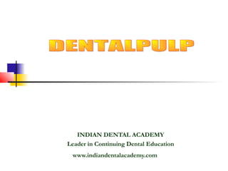 INDIAN DENTAL ACADEMY
Leader in Continuing Dental Education
 www.indiandentalacademy.com
 