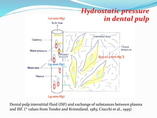Dental pulp interstitial fluid (ISF) and exchange of substances between plasma
and ISF. (* values from Tonder and Kvinnsland, 1983; Ciucchi et al., 1995)
(5.5-10.3 mm Hg*)
(43 mm Hg)
(20 mm Hg)
(35 mm Hg)
Hydrostatic pressure
in dental pulp
 