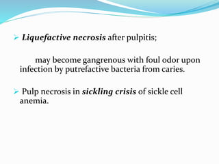  Liquefactive necrosis after pulpitis;
may become gangrenous with foul odor upon
infection by putrefactive bacteria from caries.
 Pulp necrosis in sickling crisis of sickle cell
anemia.
 