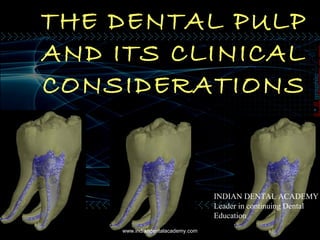 THE DENTAL PULP
AND ITS CLINICAL
CONSIDERATIONS
www.indiandentalacademy.com
INDIAN DENTAL ACADEMY
Leader in continuing Dental
Education
 