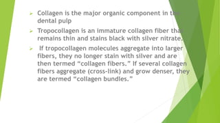 Pulp Bundle dental pulp detailed power point presentation | PPTX