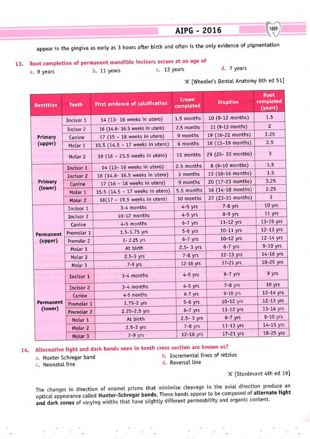 Dental Pulse_ V1_compressed.pdf