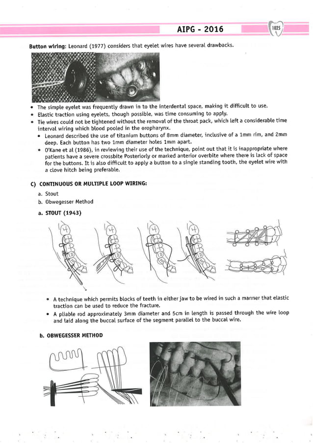 Dental Pulse_ V1_compressed.pdf