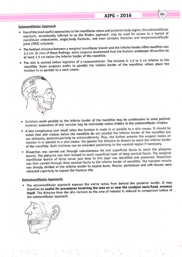 Dental Pulse_ V1_compressed.pdf