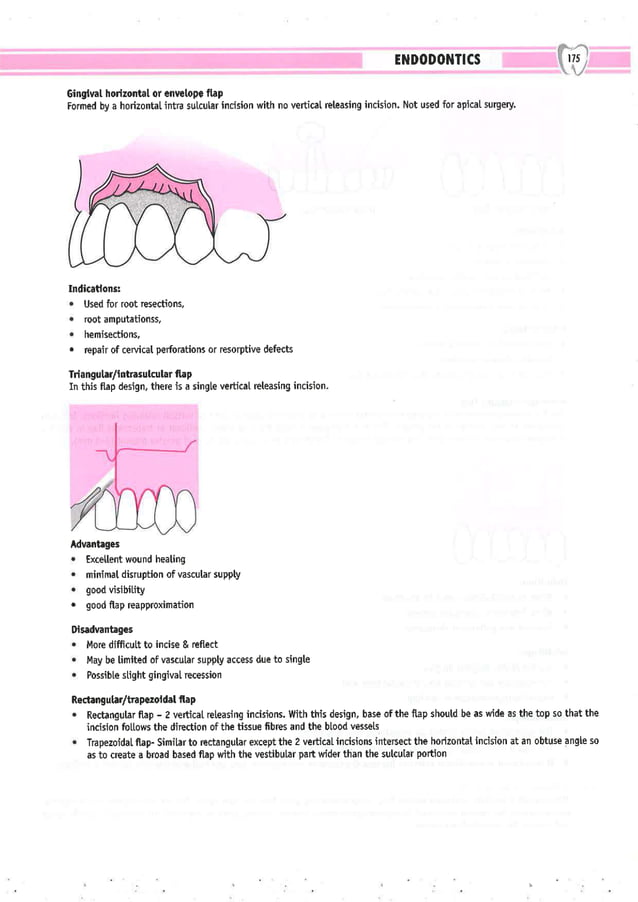 Dental Pulse_ V1_compressed.pdf