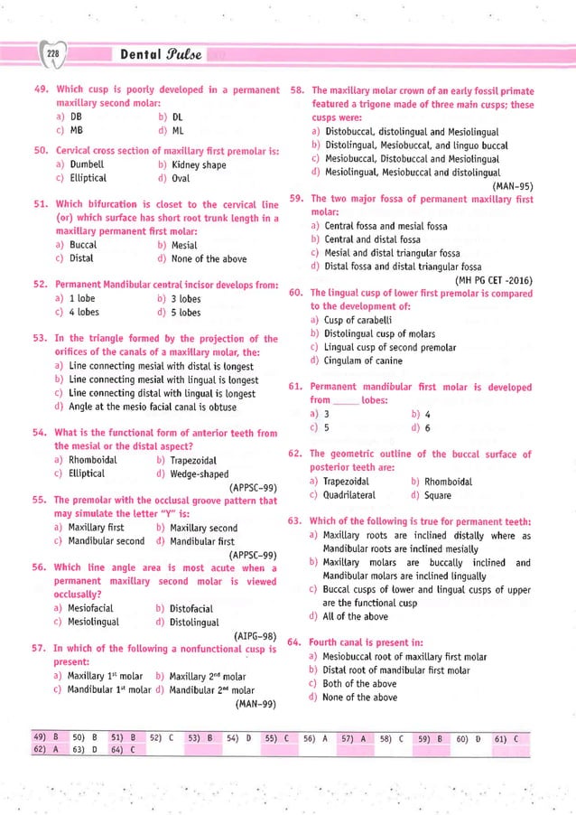 Dental Pulse_ V1_compressed.pdf