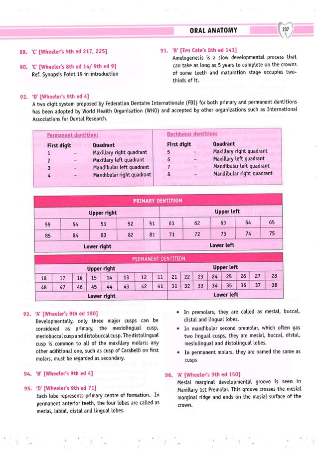 Dental Pulse_ V1_compressed.pdf