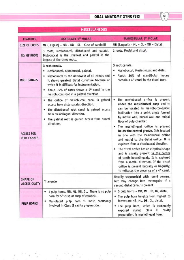 Dental Pulse_ V1_compressed.pdf