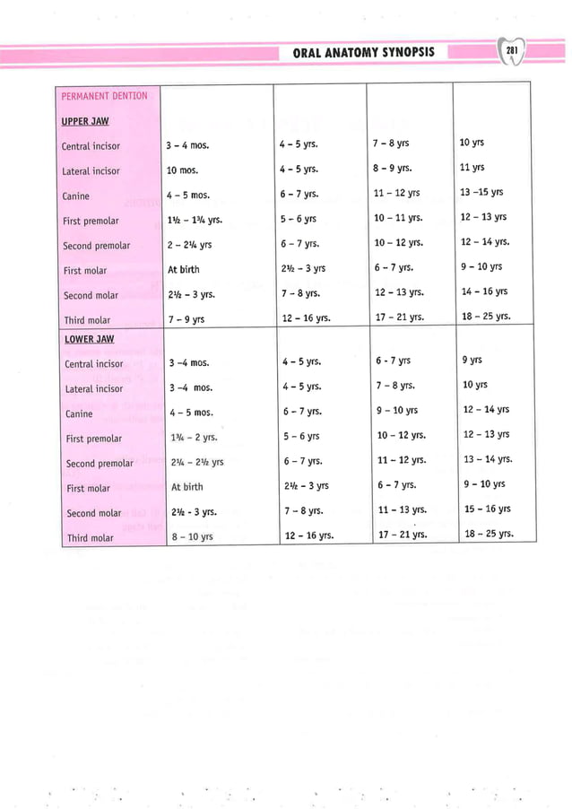 Dental Pulse_ V1_compressed.pdf