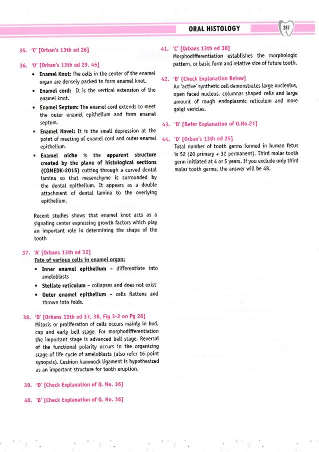 Dental Pulse_ V1_compressed.pdf