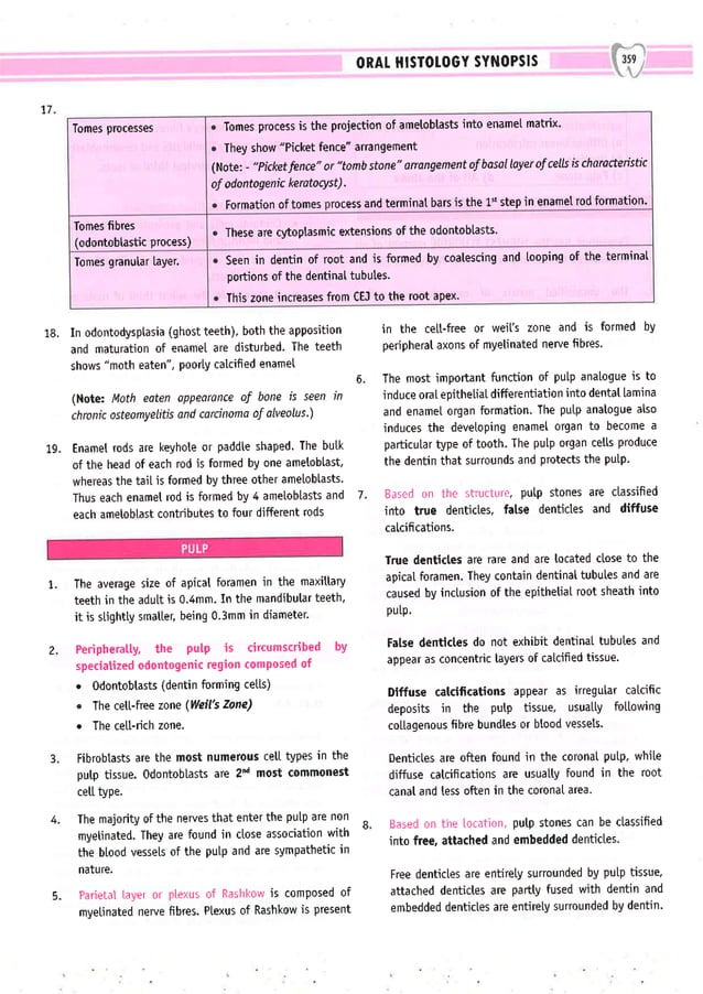 Dental Pulse_ V1_compressed.pdf