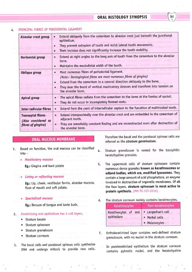 Dental Pulse_ V1_compressed.pdf