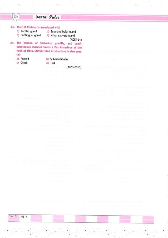 Dental Pulse_ V1_compressed.pdf