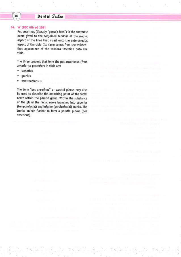 Dental Pulse_ V1_compressed.pdf