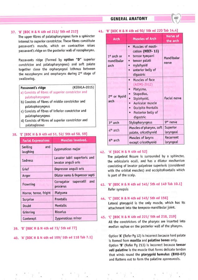 Dental Pulse_ V1_compressed.pdf