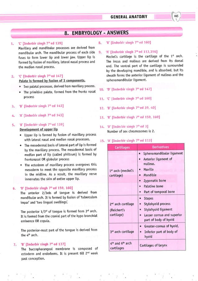 Dental Pulse_ V1_compressed.pdf
