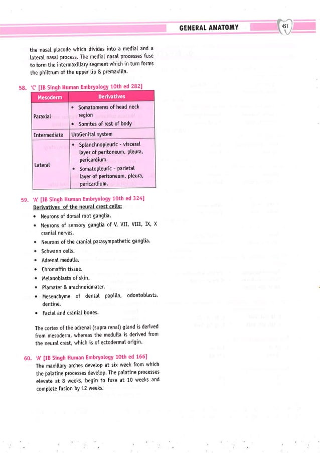Dental Pulse_ V1_compressed.pdf