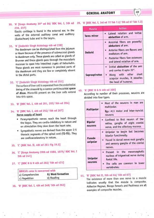 Dental Pulse_ V1_compressed.pdf
