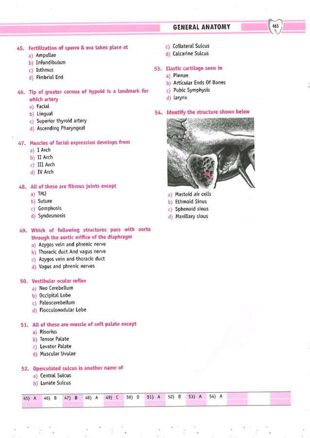 Dental Pulse_ V1_compressed.pdf