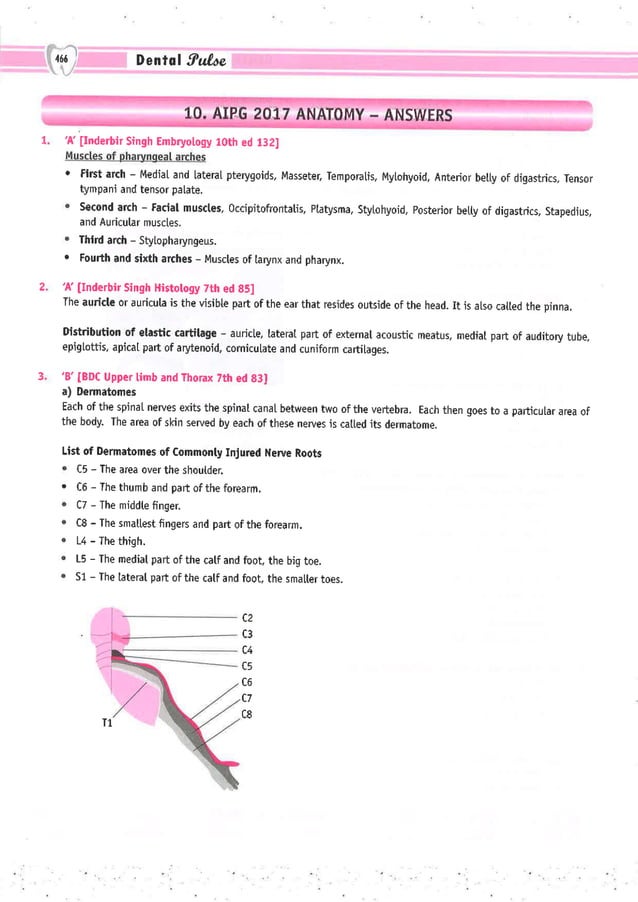 Dental Pulse_ V1_compressed.pdf