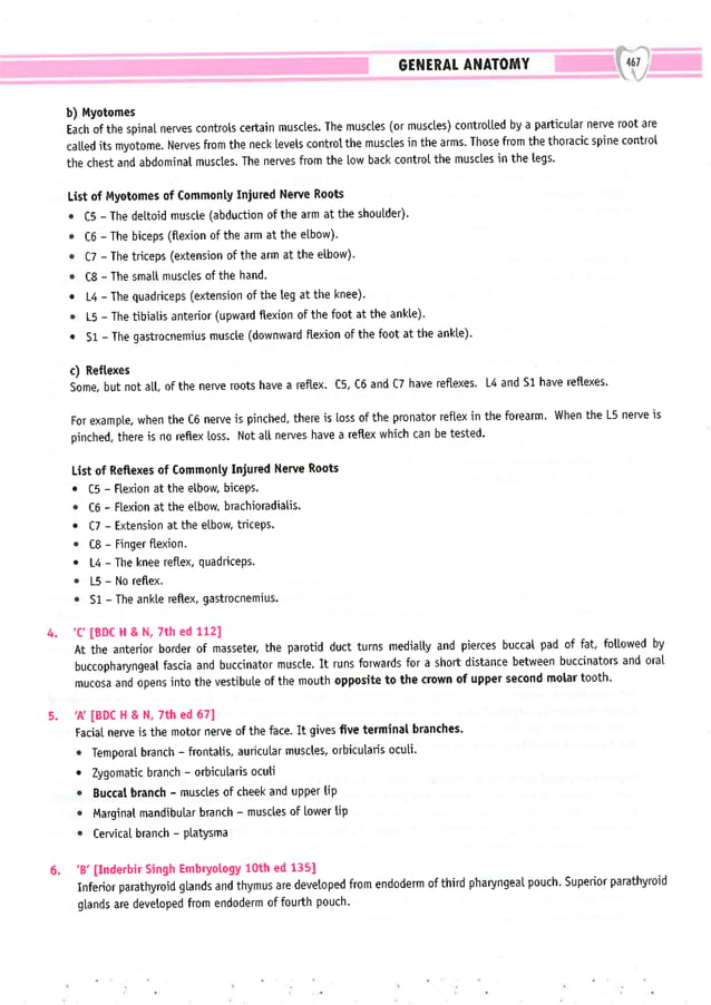 Dental Pulse_ V1_compressed.pdf