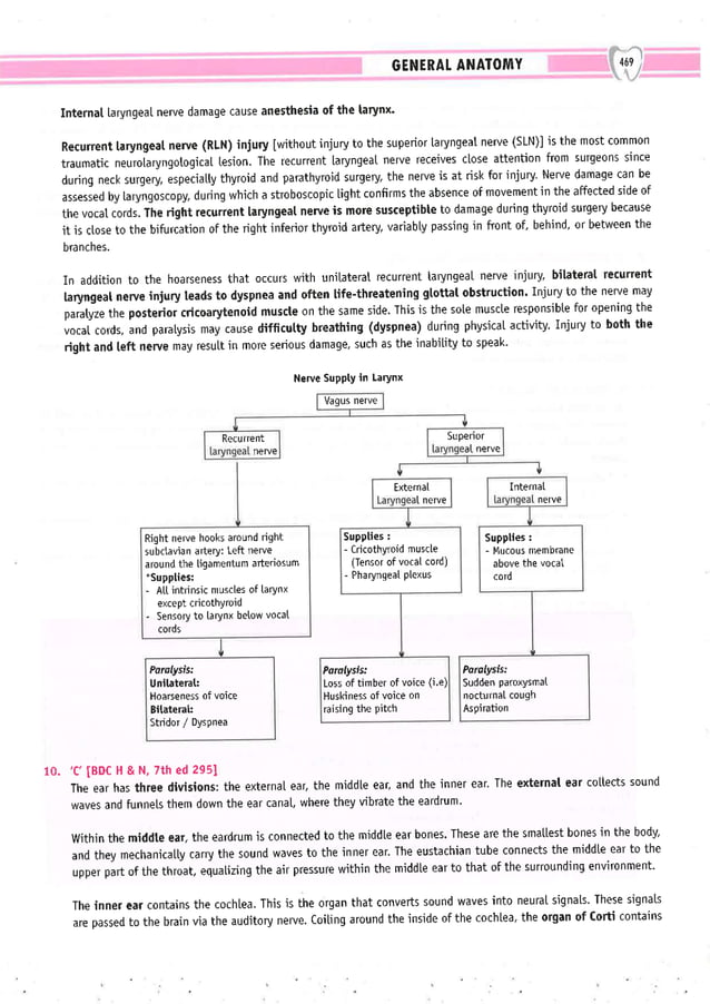 Dental Pulse_ V1_compressed.pdf