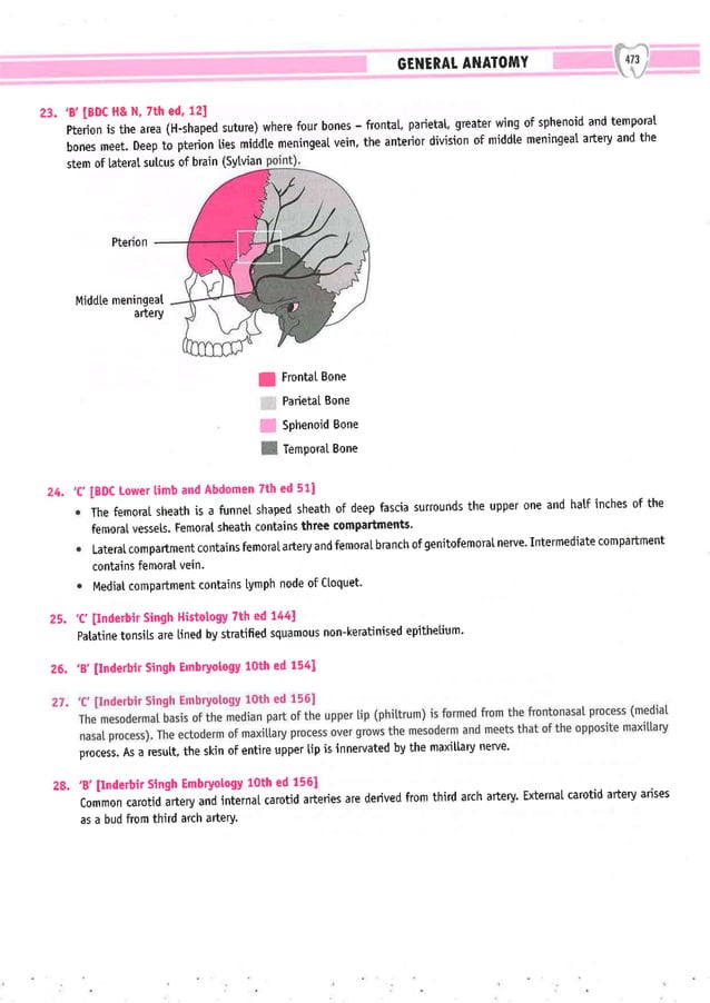 Dental Pulse_ V1_compressed.pdf
