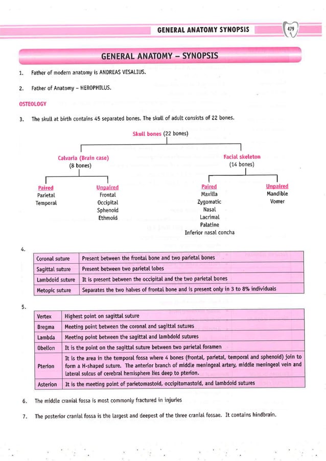 Dental Pulse_ V1_compressed.pdf