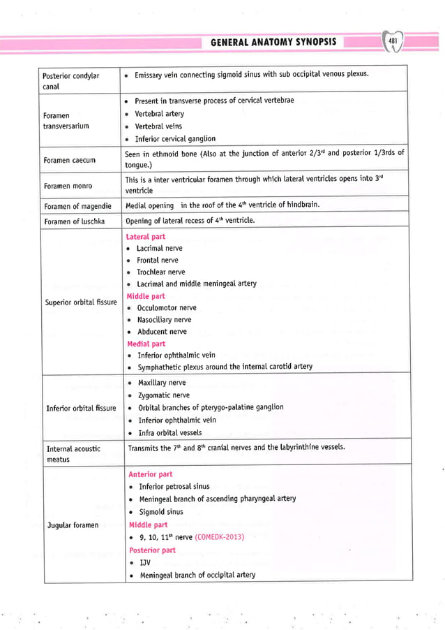 Dental Pulse_ V1_compressed.pdf