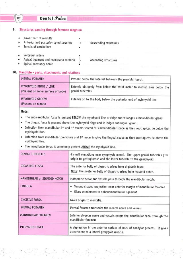 Dental Pulse_ V1_compressed.pdf