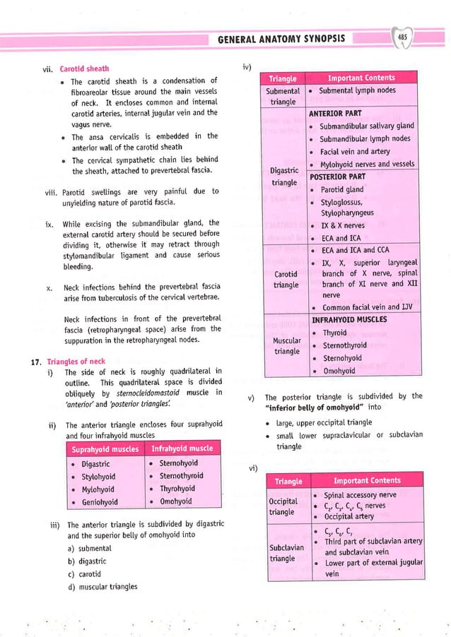 Dental Pulse_ V1_compressed.pdf