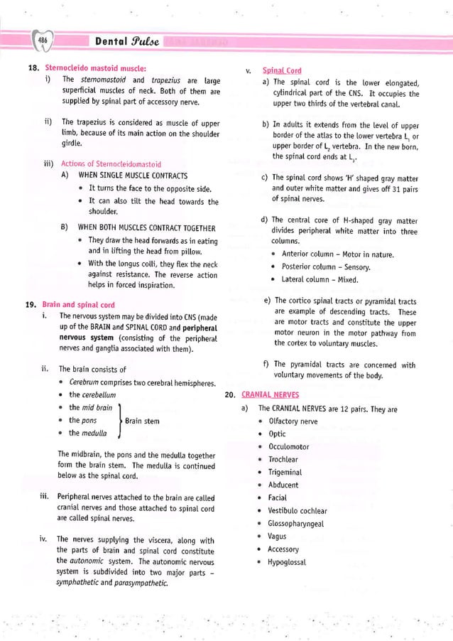 Dental Pulse_ V1_compressed.pdf