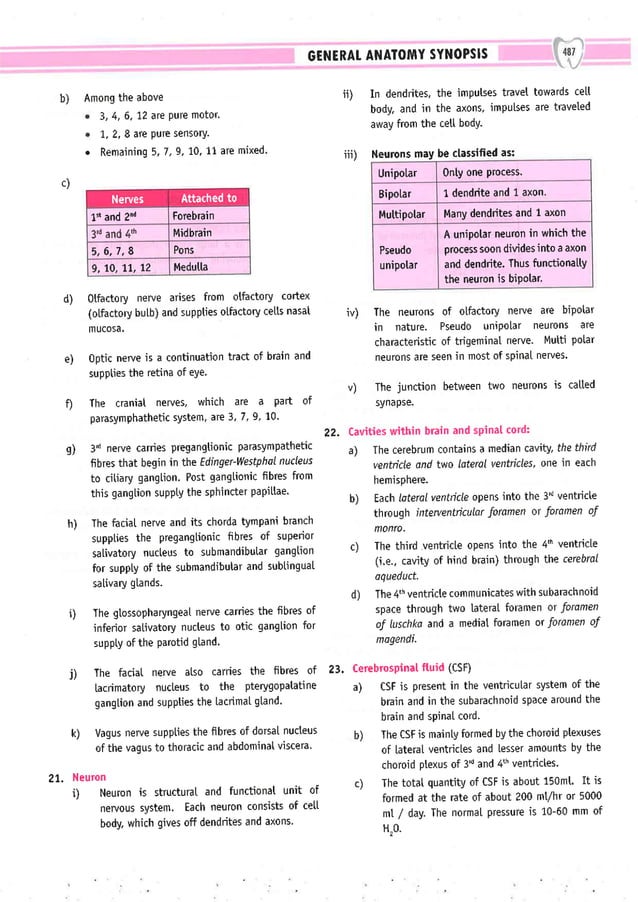 Dental Pulse_ V1_compressed.pdf