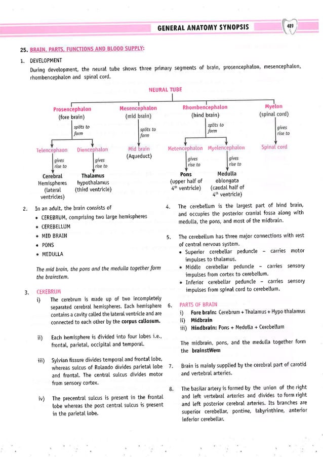 Dental Pulse_ V1_compressed.pdf