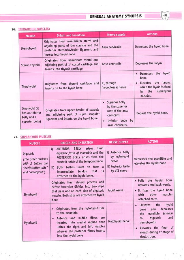 Dental Pulse_ V1_compressed.pdf